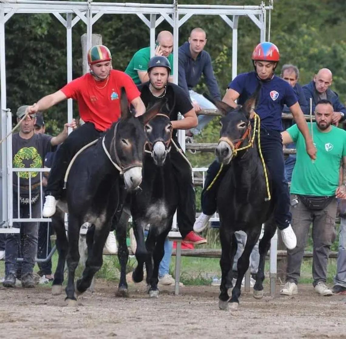 La Bianca vince nella corsa dei somari, il Ghetto conquista il mini palio