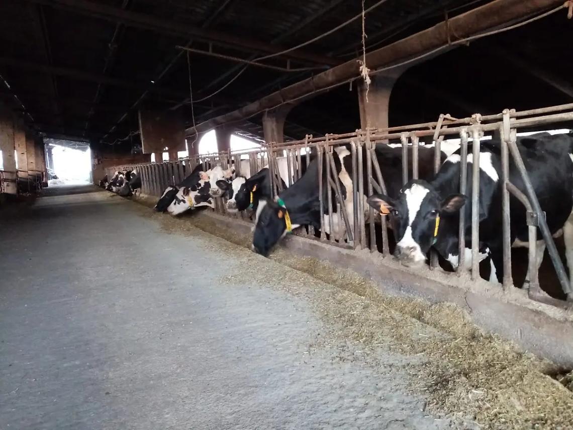 &laquo;In 20 anni perso il 70% delle aziende&raquo;