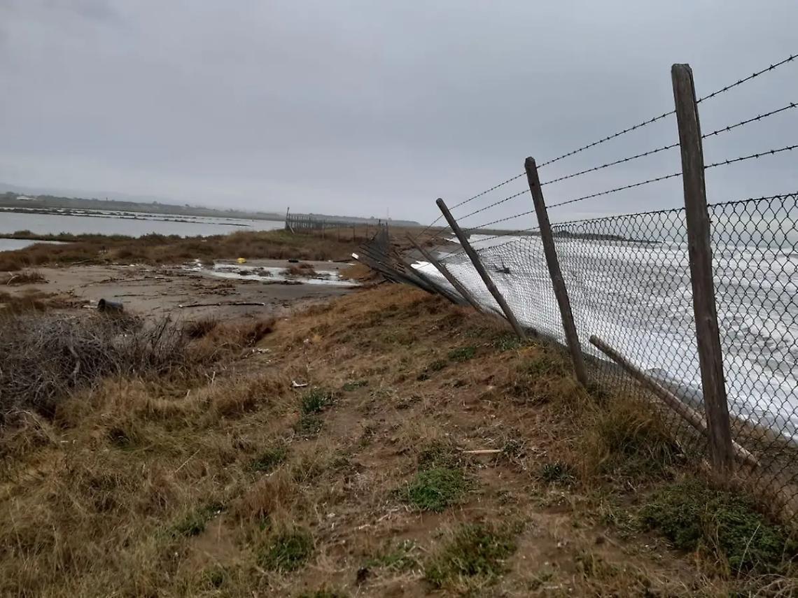 Giovani tarquiniesi ripuliscono l&rsquo;arenile delle Saline di Tarquinia