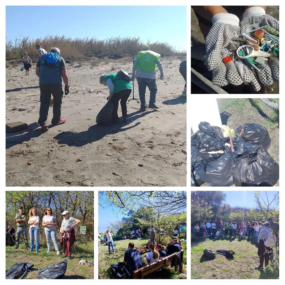 Tubi da giardinaggio, chili di plastica ... grandi pulizie a Torre Flavia