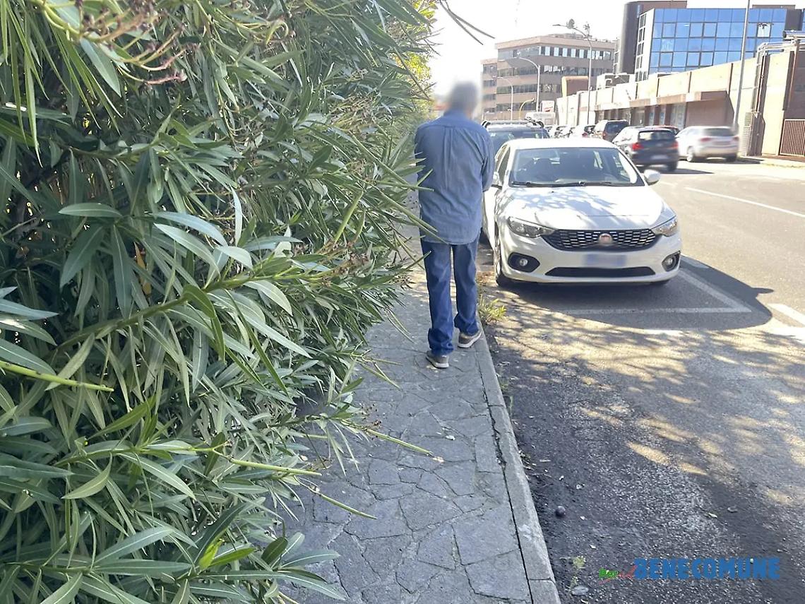 &laquo;Viale Romiti nel degrado, situazione inaccettabile&raquo;