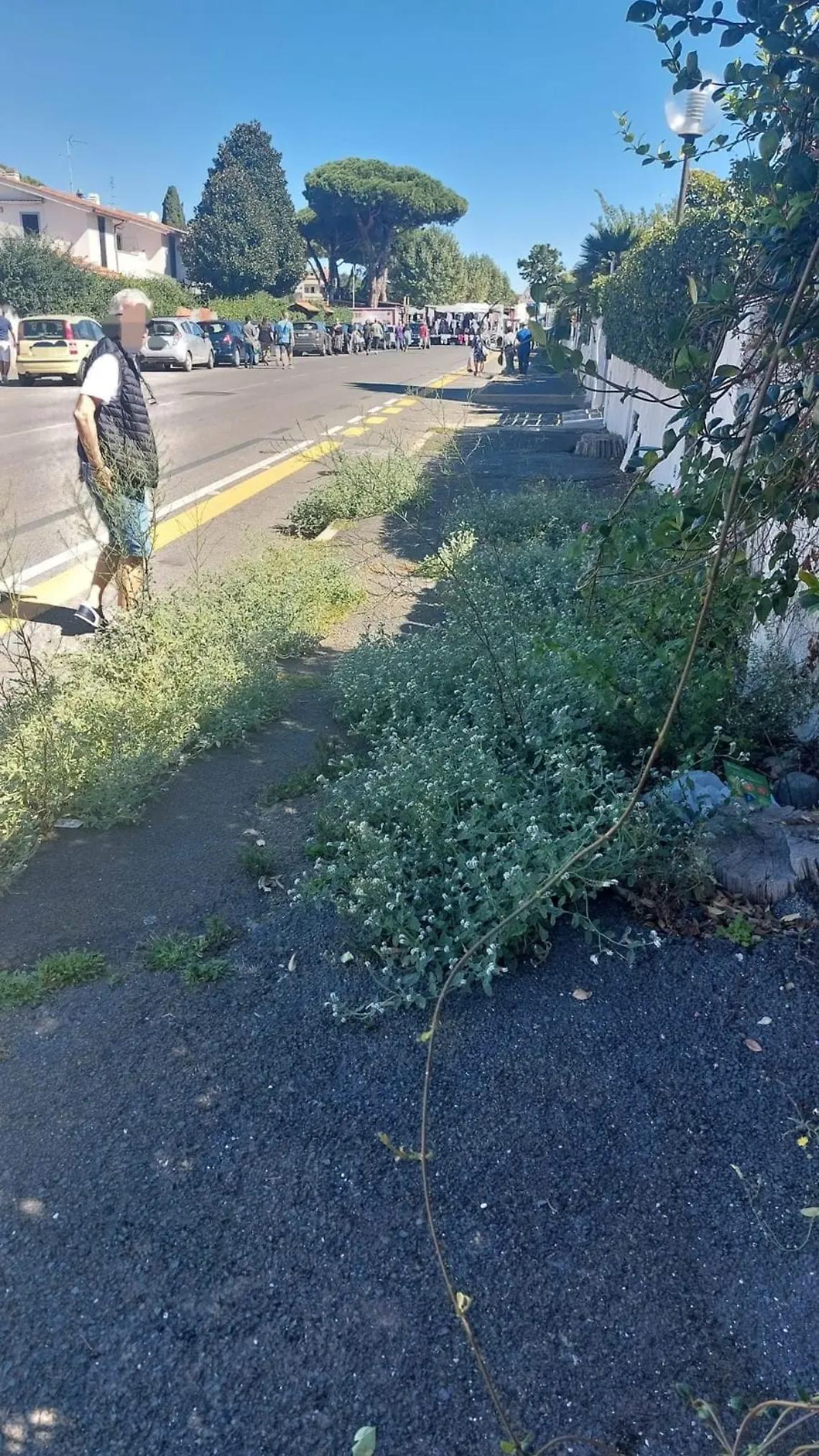 &laquo;Questa ciclabile &egrave; un caos ed &egrave; pericolosa&raquo;