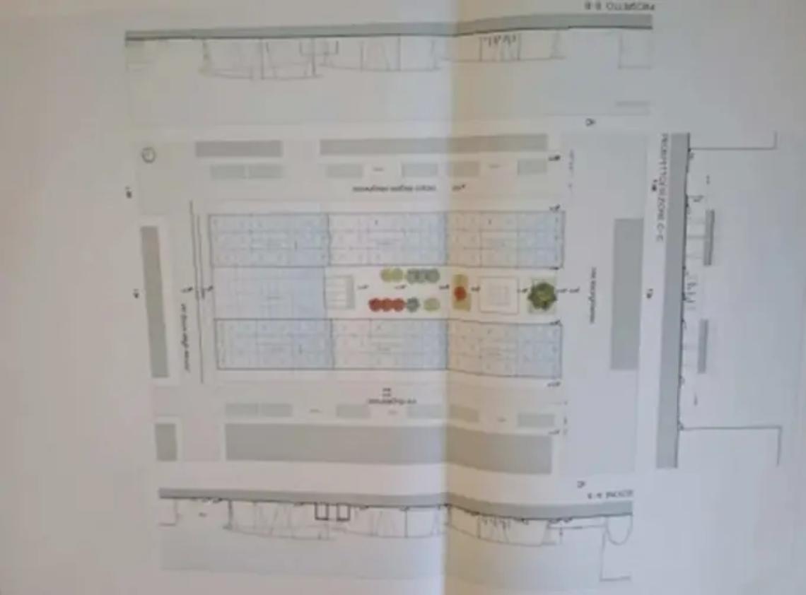 Abbattimento degli alberi: l&rsquo;appello delle associazioni ambientaliste