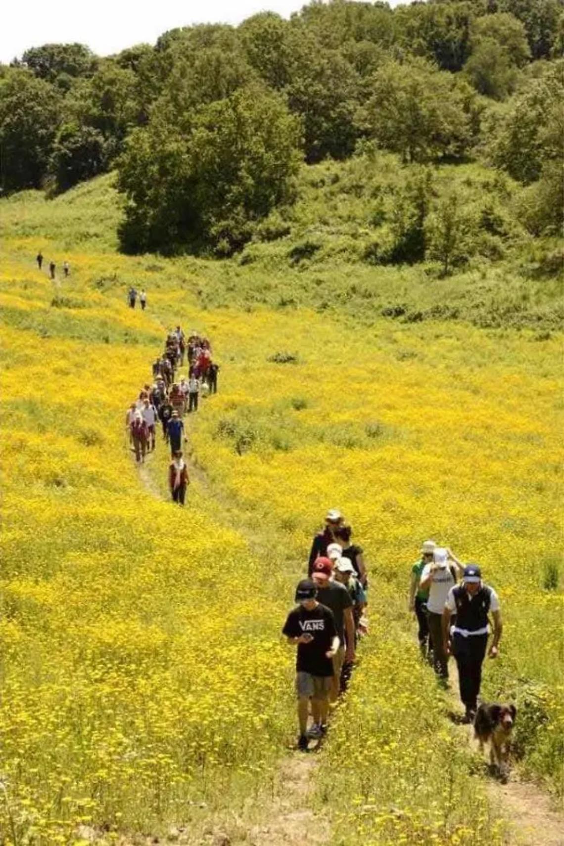 Musica e natura: &egrave; l&rsquo;ora dei picnic del Tolfa jazz