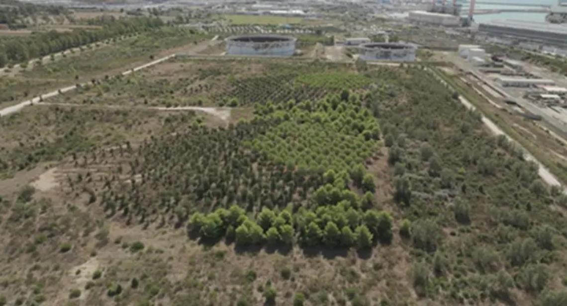 Bosco Enel, parte la petizione promossa da Vittorio Petrelli