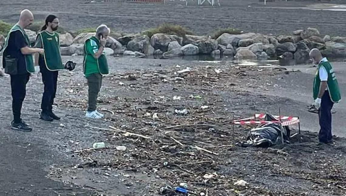 Un altro delfino trovato senza vita sulla spiaggia