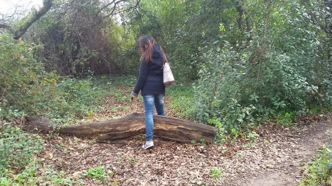 &ldquo;La scuola nel bosco&rdquo;, al via i nuovi laboratori didattici