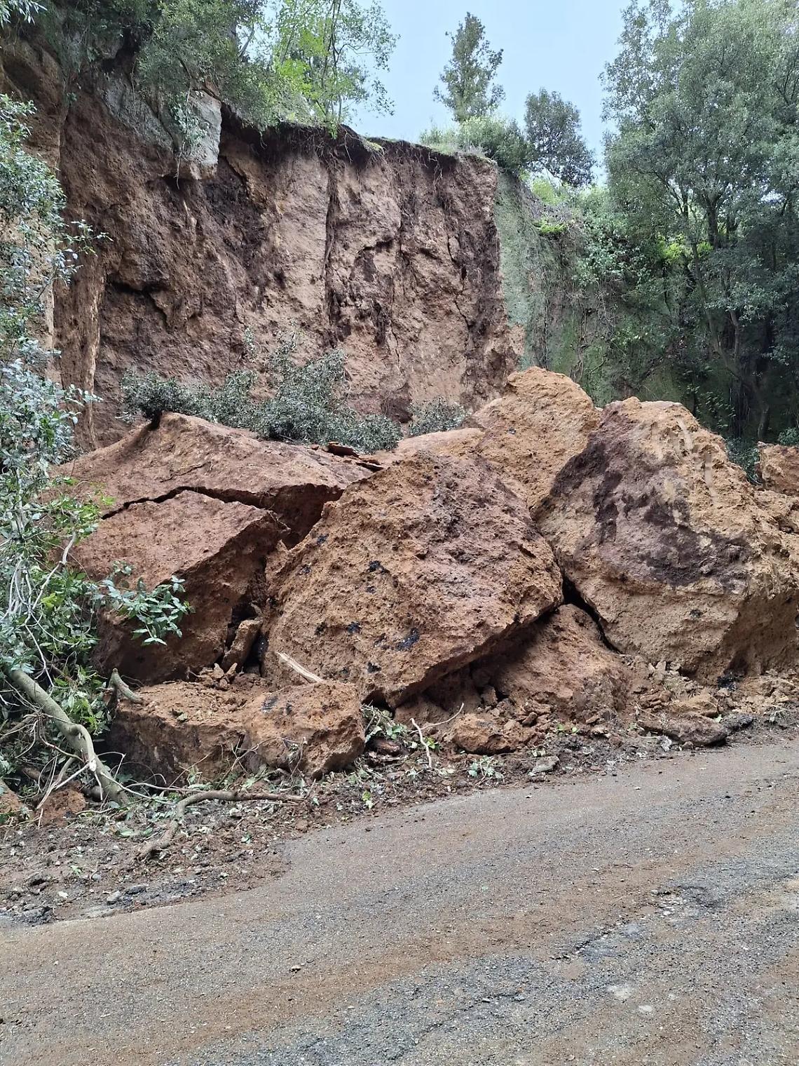 &laquo;Occorre provvedimento d'urgenza della Regione Lazio&raquo;