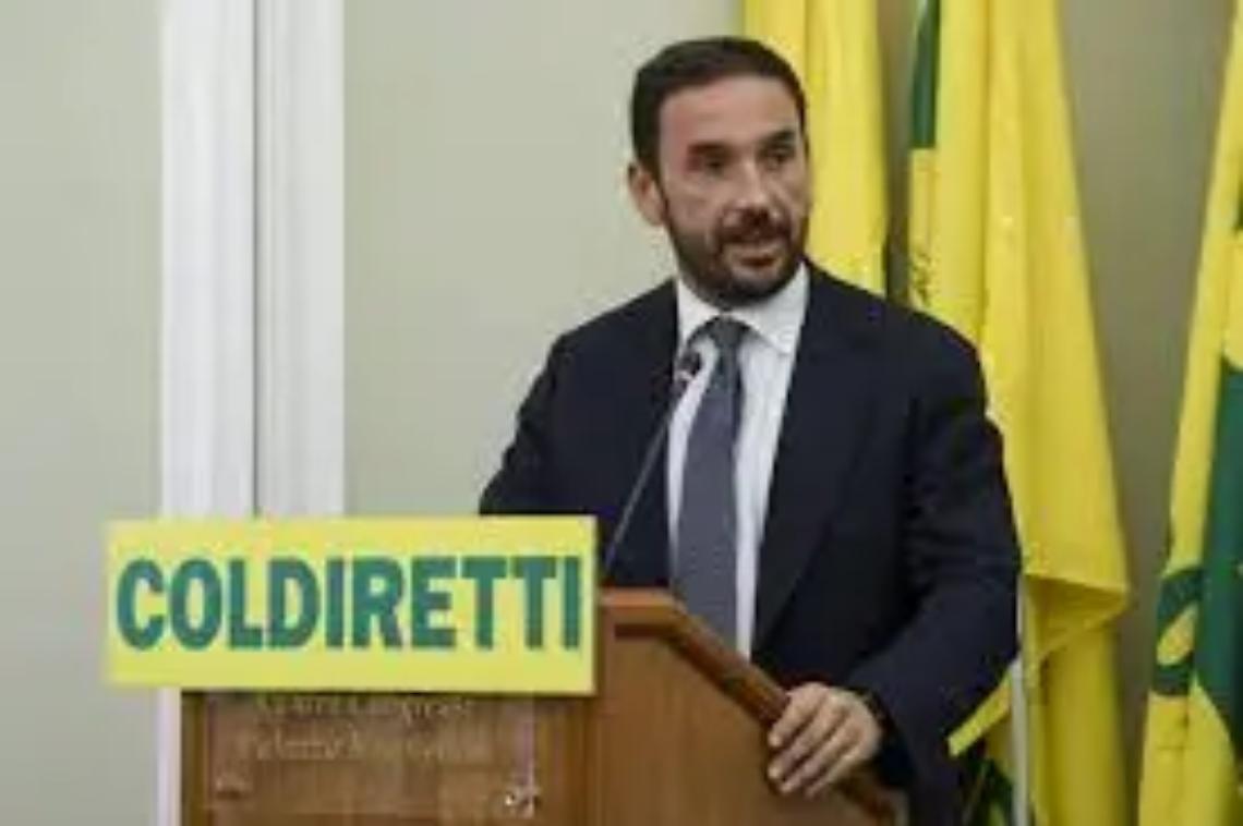 &laquo;Sos nocciole, subito un tavolo di crisi&raquo;