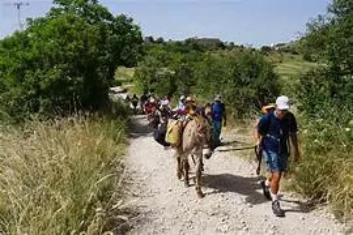 Domenica 20 trekking someggiato