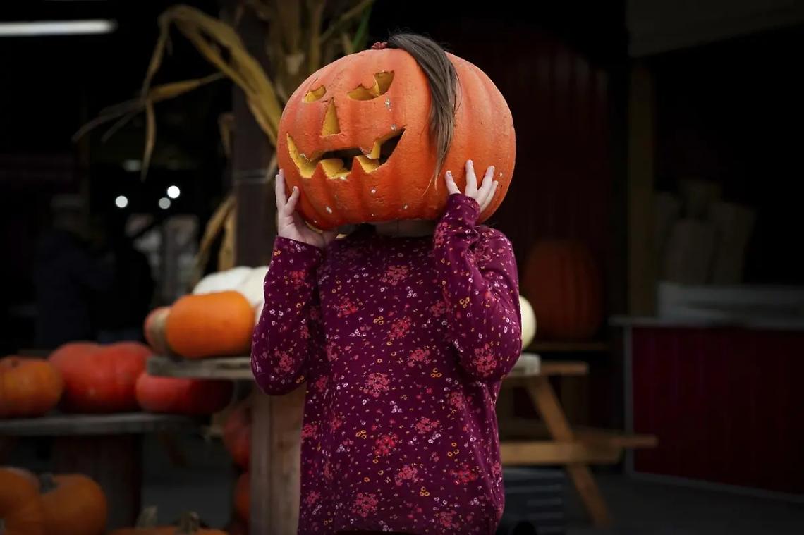 Sfilata di zombie e partybus col dj, attesa per la festa di Halloween