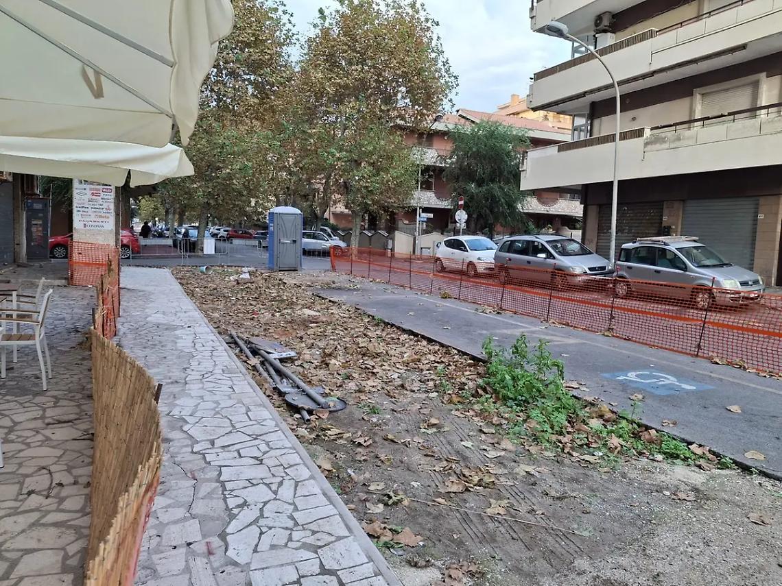 Alberi &ldquo;spariti&rdquo; a via Venezia