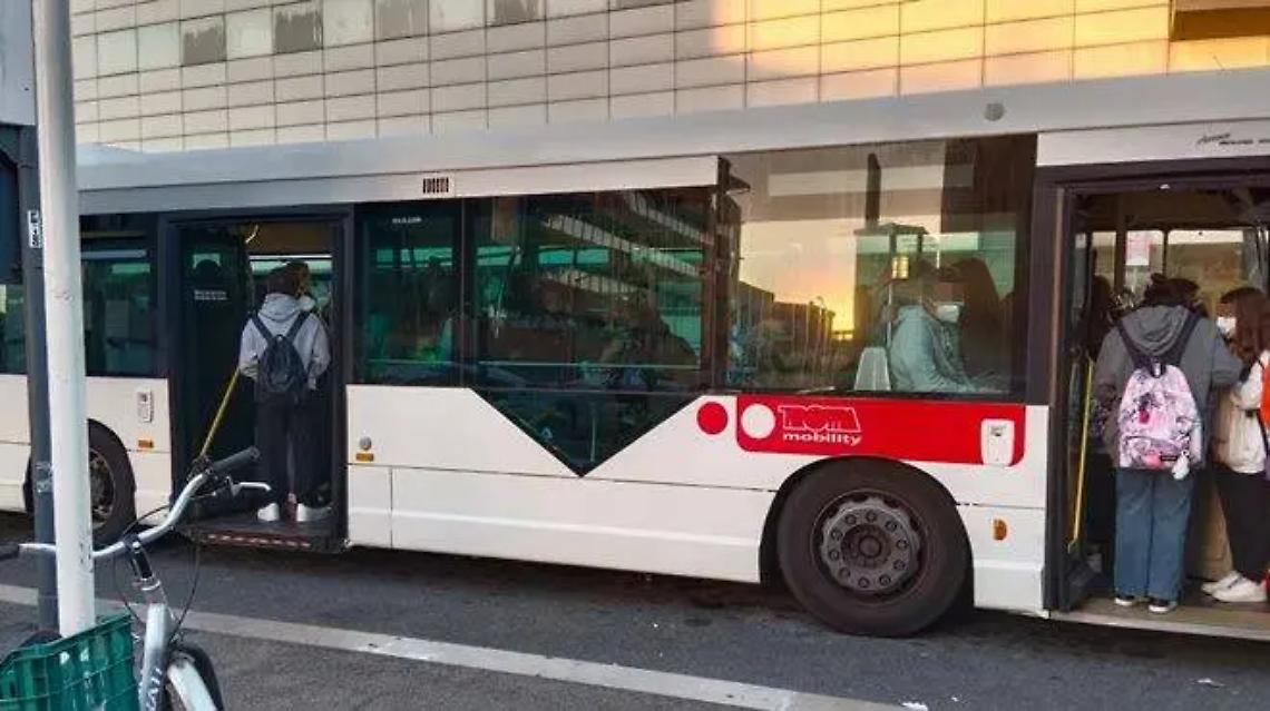 &laquo;Caos trasporti. Urge una soluzione&raquo;