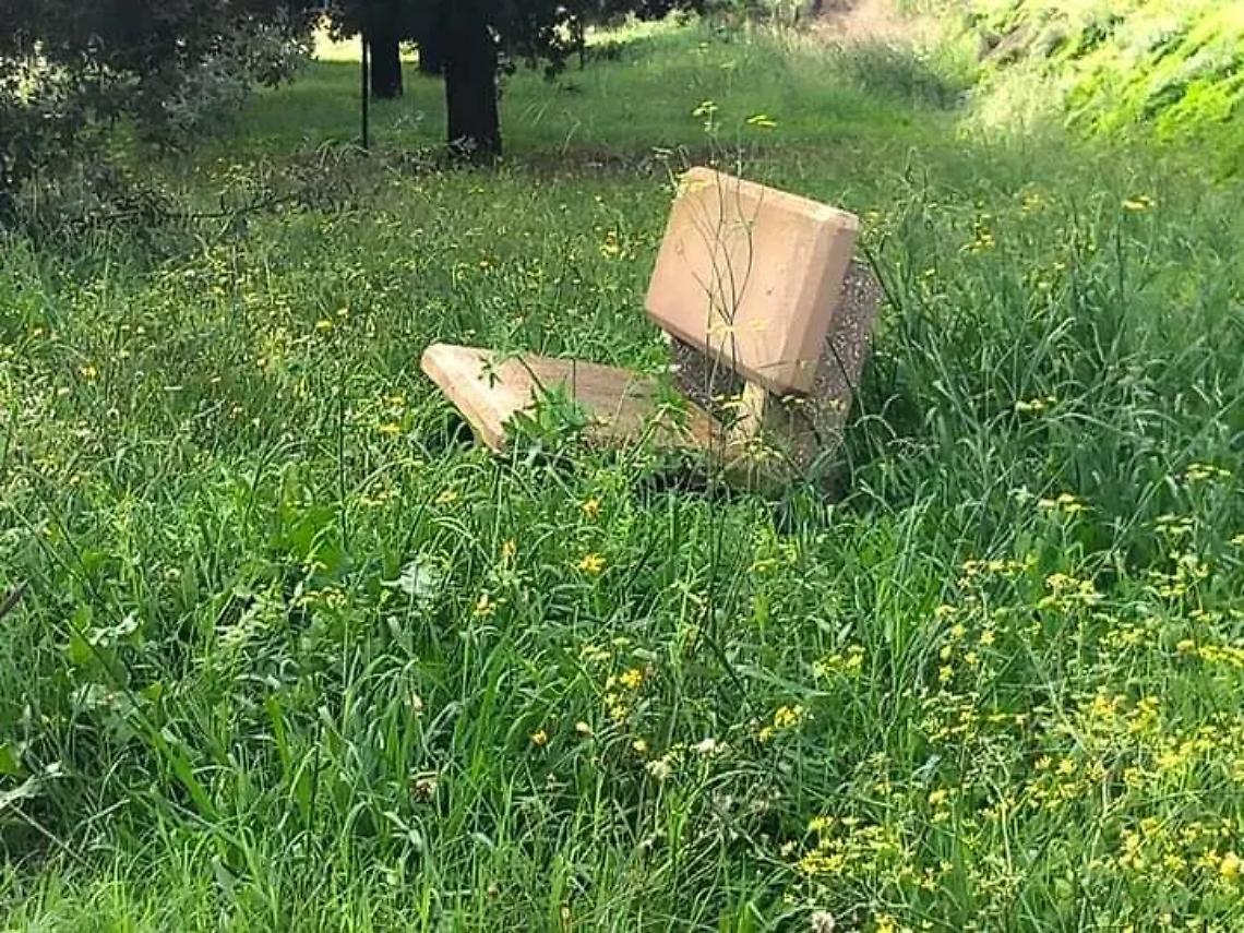 Mancato sfalcio dell&rsquo;erba: residenti sul piede di guerra