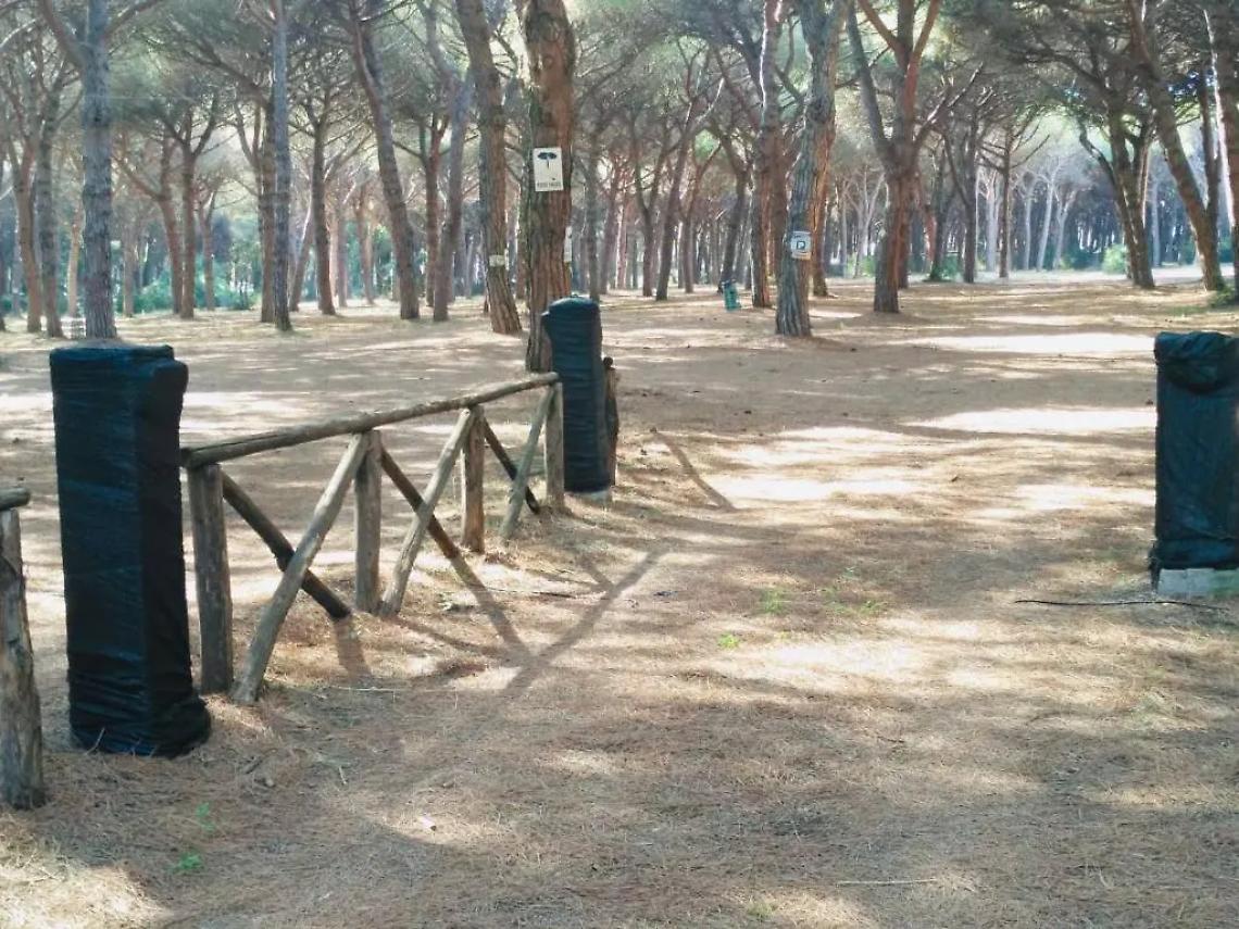 La Pineta Spinicci assegnata al circolo Uisp Santa Rosa: interrogazione della minoranza