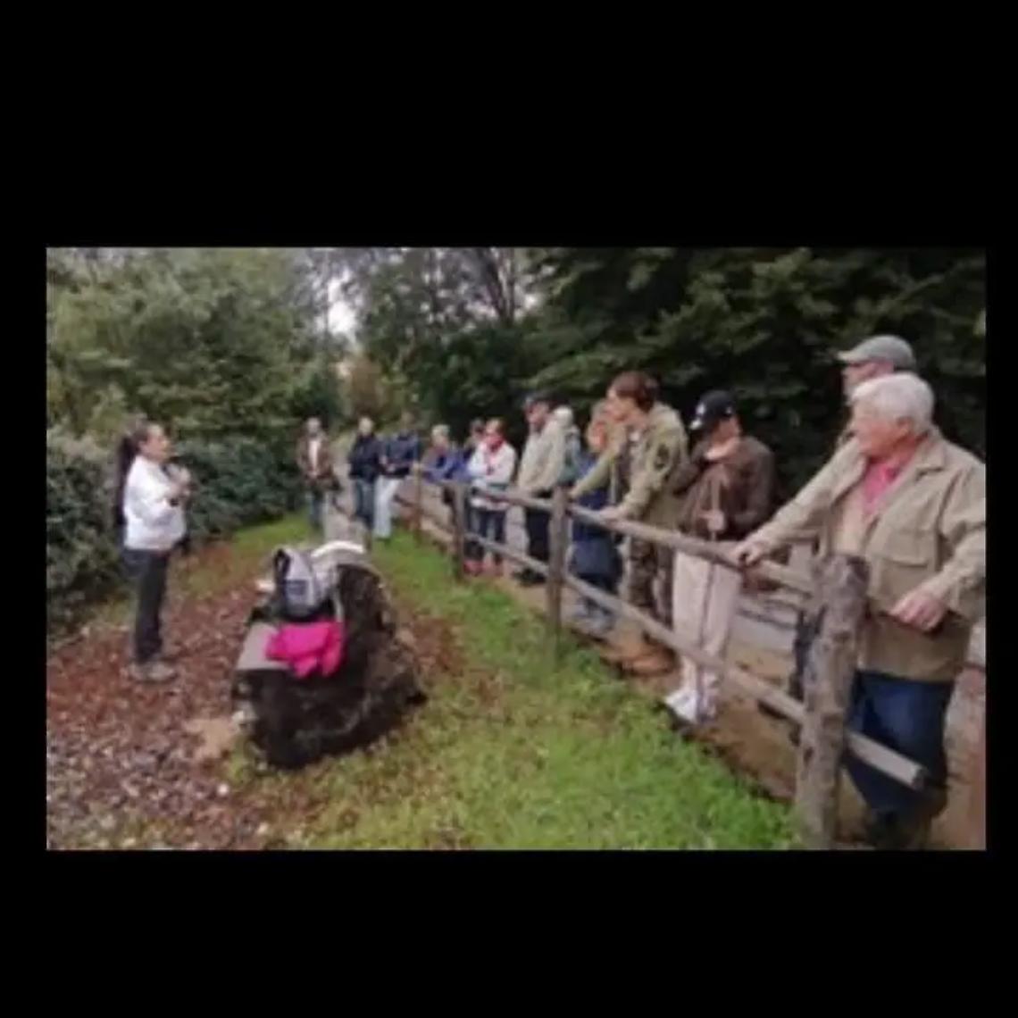 Sofia Mocci campionessa regionale di Dressage 2024