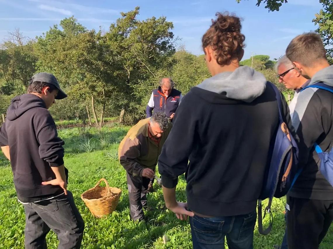 Formazione micologica, gli studenti dell&rsquo;istituto Cardarelli a lezione con la Asl di Viterbo