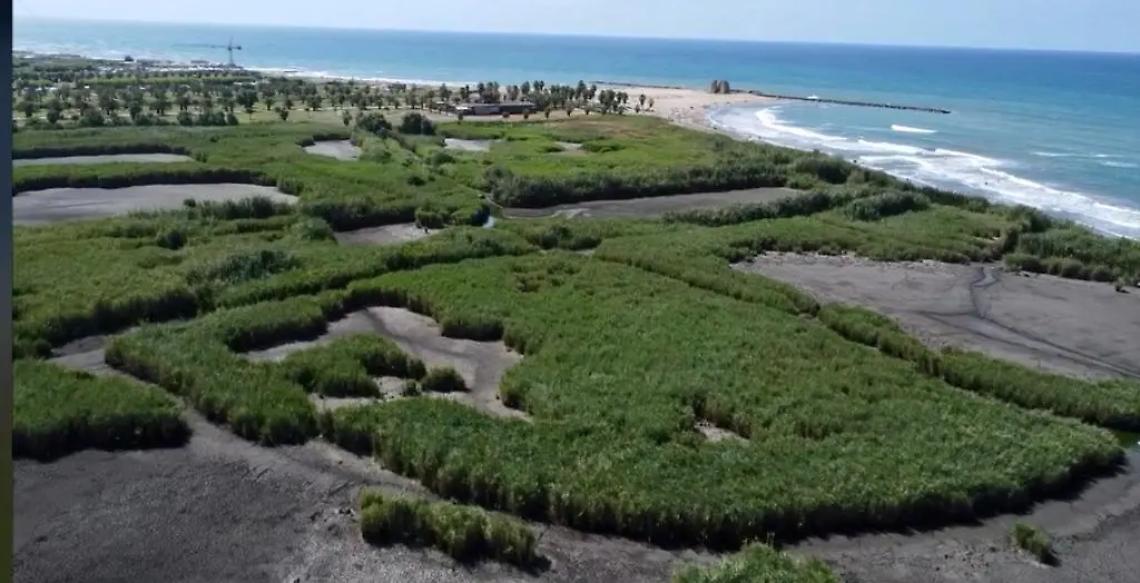 &laquo;La palude di Torre Flavia &egrave; un luogo del cuore&raquo;