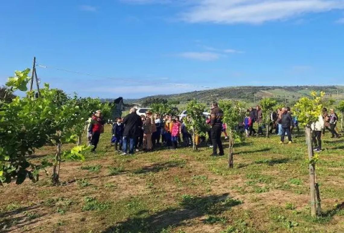 Santa Marinella, studenti in visita alla Limonaia