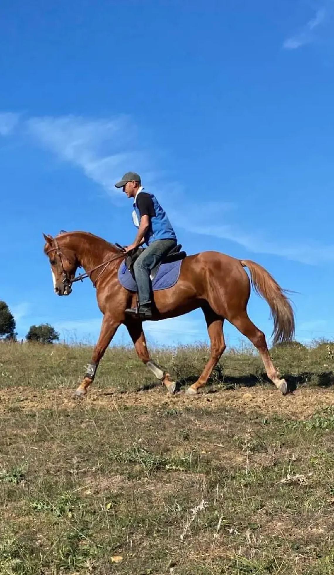 Sgaibarre al lavoro per il Palio di Siena