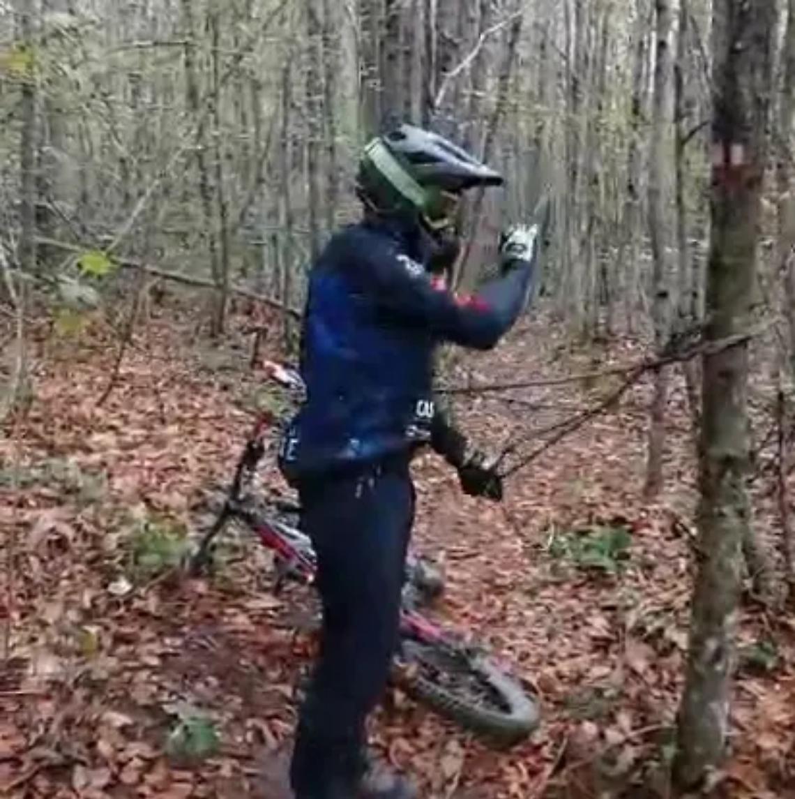 Scoperta una &ldquo;trappola&rdquo; nella Faggeta