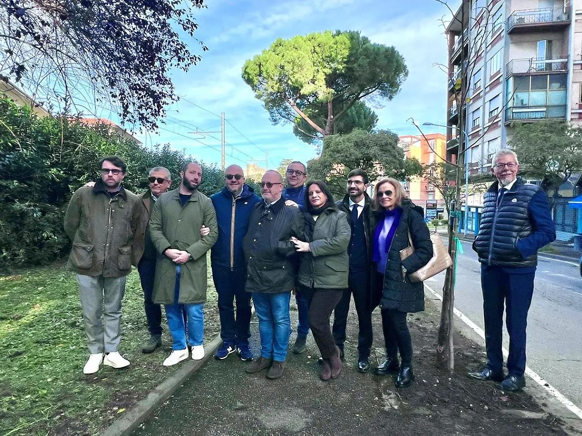 Viterbo: un nuovo tiglio in via Vicenza