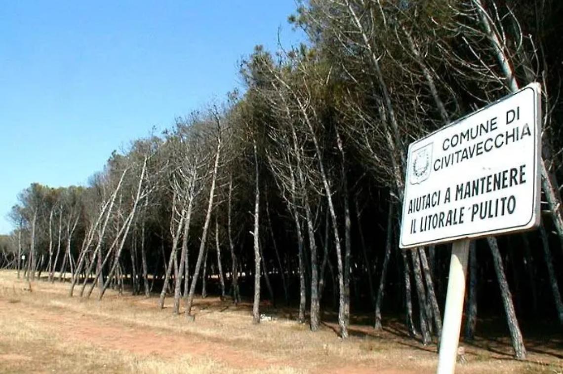 Frasca, Bioma: &laquo;Sabato una mattinata di semina diretta in bosco&raquo;