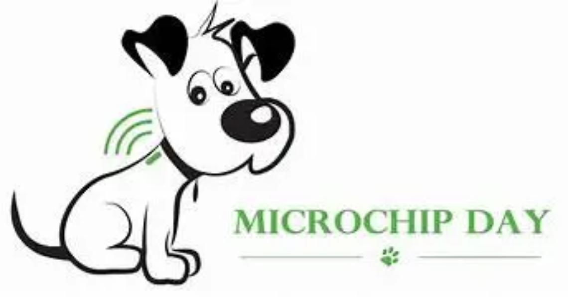 Microchip day, l&rsquo;8 dicembre evento al parco Saffi