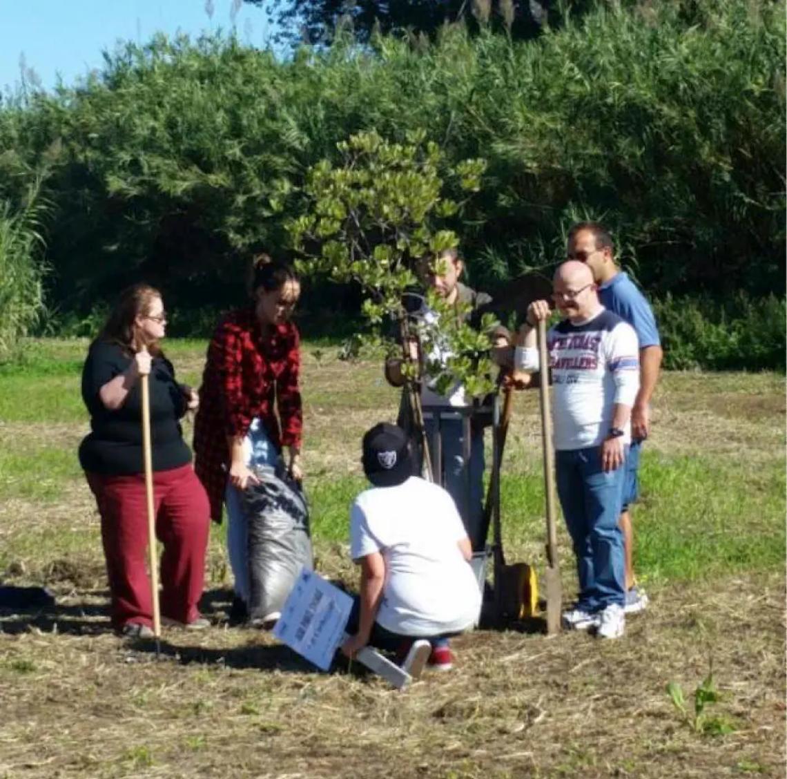 &ldquo;Alberi per il futuro&rdquo;, torna l&rsquo;iniziativa del Movimento cinque stelle