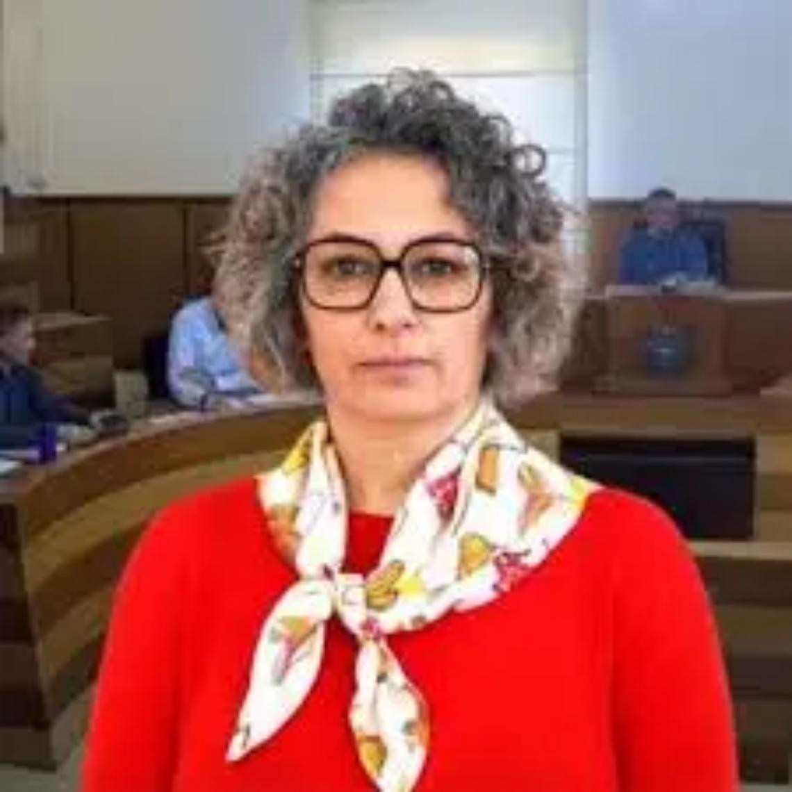 &laquo;Il non declassamento di via Tirrenia e viale dei Pini non incider&agrave; su sicurezza e manutenzione&raquo;