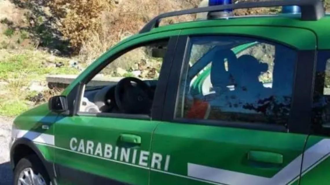 Incendi boschivi: identificati 70 piromani nella Tuscia