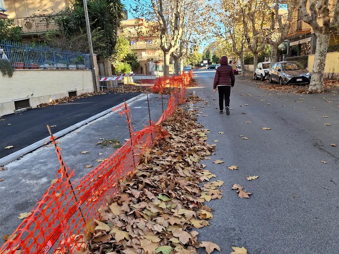 &ldquo;Tappeto&rdquo; di foglie su strade e marciapiedi: si teme il caos