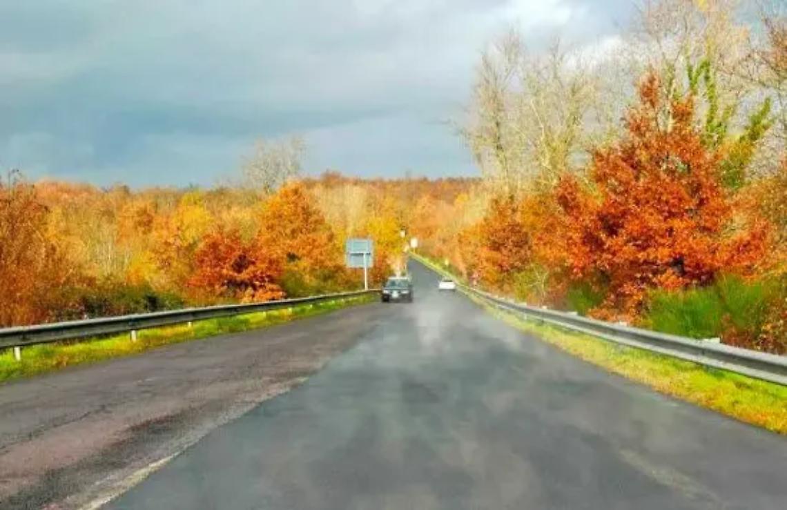 Bomarzese, conclusi i lavori