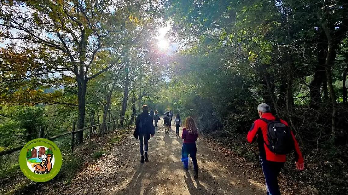 Sul cammino dei minatori percorrendo il sentiero viola