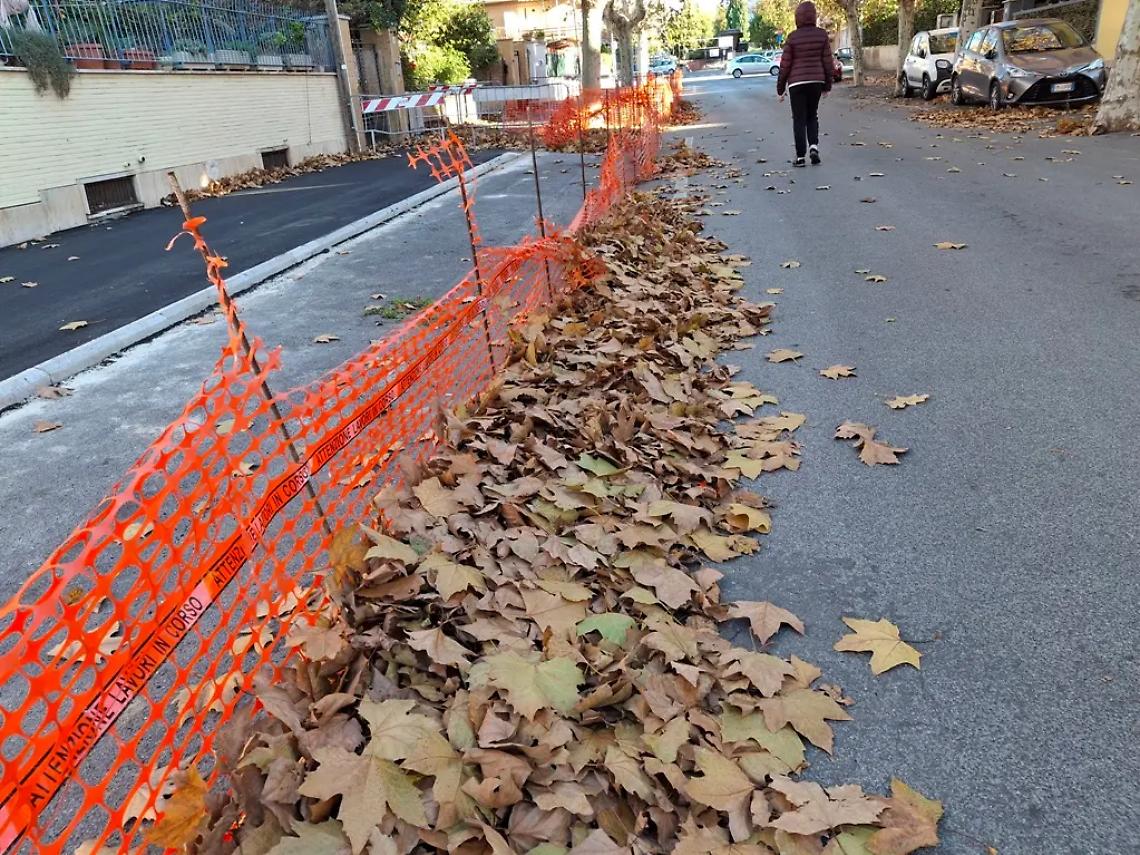 Invasione di foglie su strade e marciapiedi: &laquo;Nel 2025 pi&ugrave; potature&raquo;