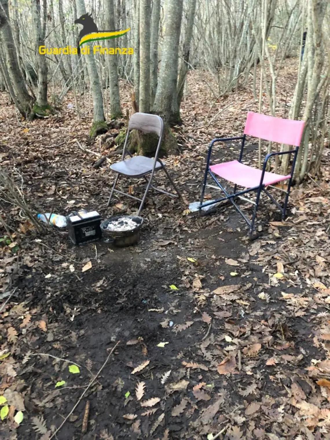 Smantellata postazione dello spaccio nei boschi di Monte Fogliano