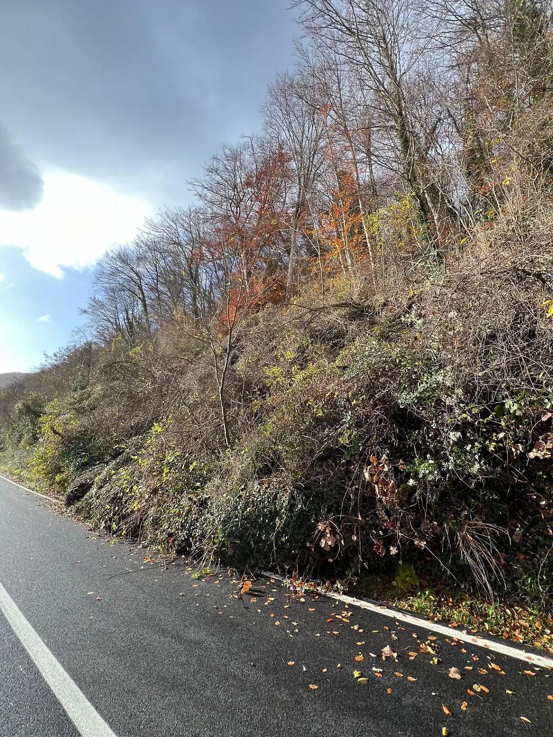 Frana sulla provinciale Valle di Vico, traffico interrotto