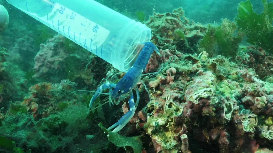 &laquo;Progetto Astici, si entra in una nuova fase&raquo;