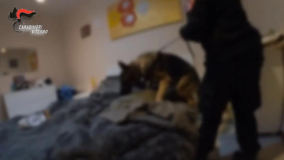 Maxi operazione antidroga, eseguite 59 perquisizioni tra Viterbo, provincia e Civitavecchia