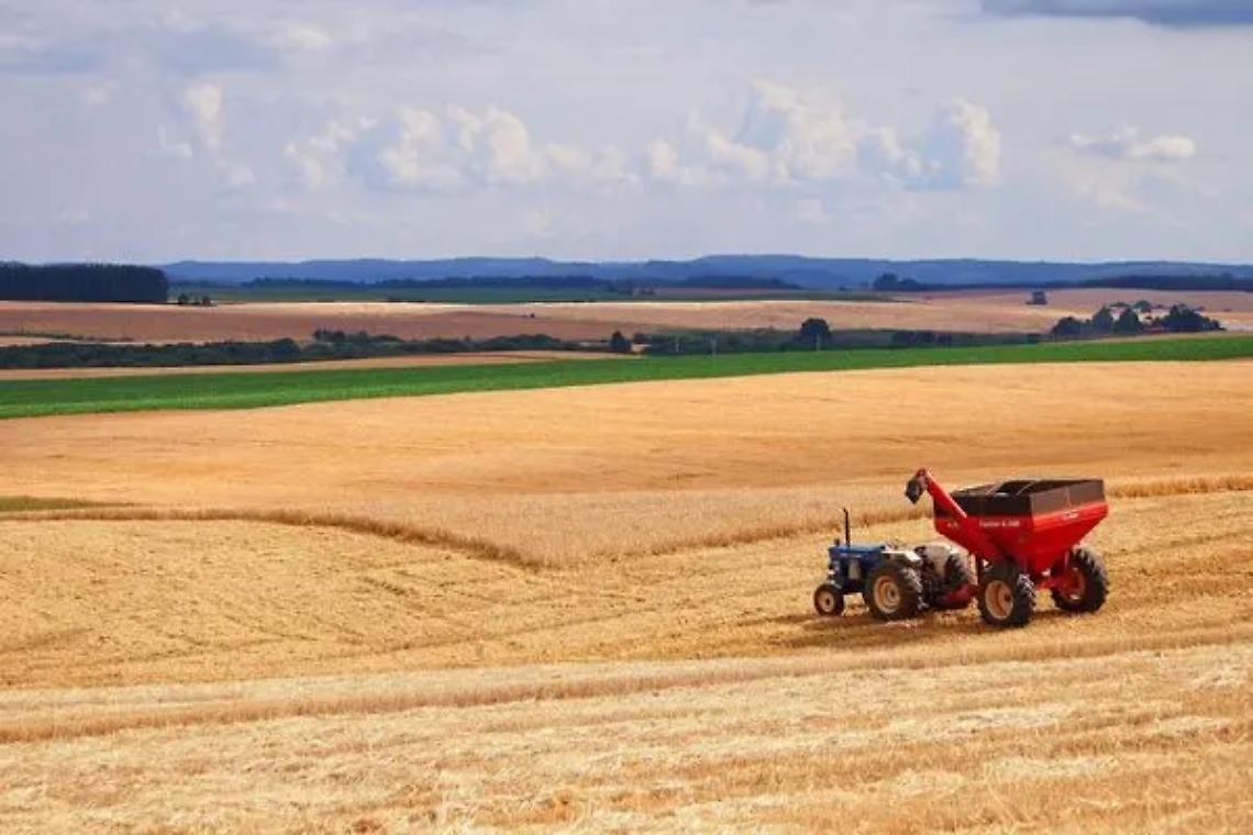 &laquo;Agricoltura, dalla Tuscia una legge d&rsquo;iniziativa popolare&raquo;