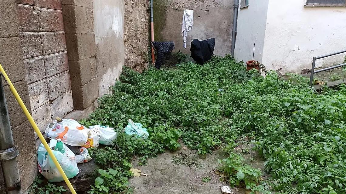 &laquo;Ostaggi di erba alta, rifiuti e topi&raquo;