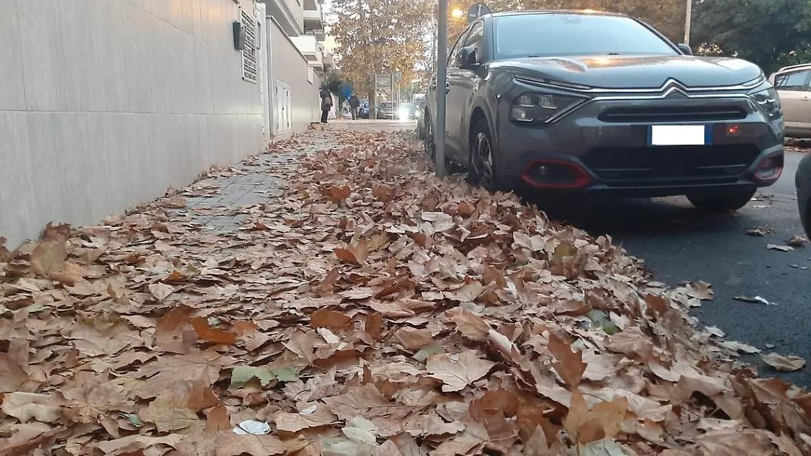 Potature, al via il piano straordinario