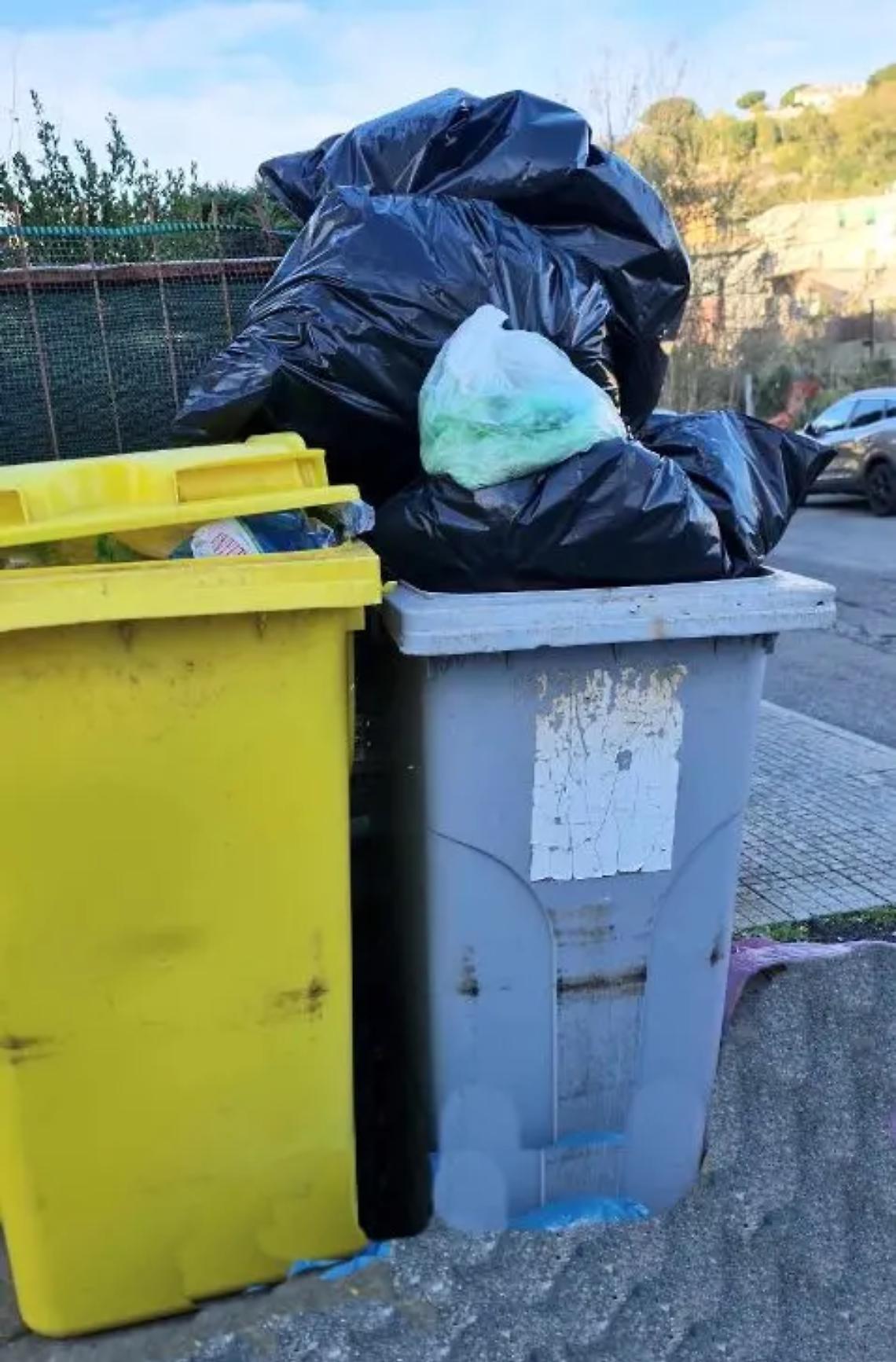 Rifiuti abbandonati nei sacchi neri