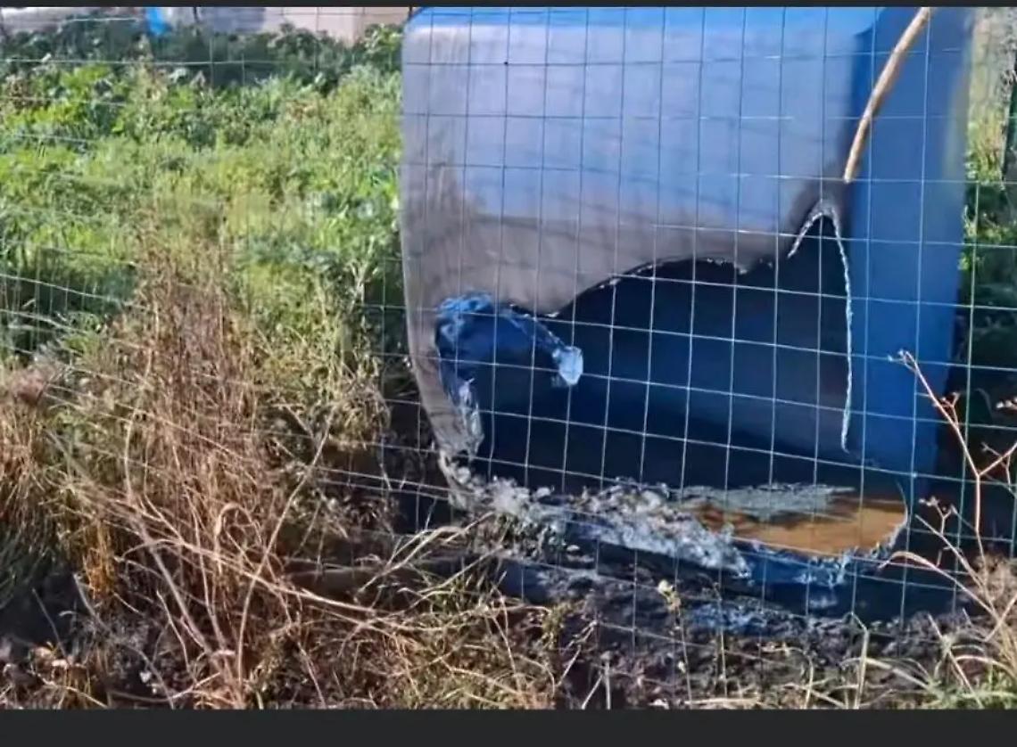 Cenere tra la vigna di Spinelli, i cittadini temono incendi