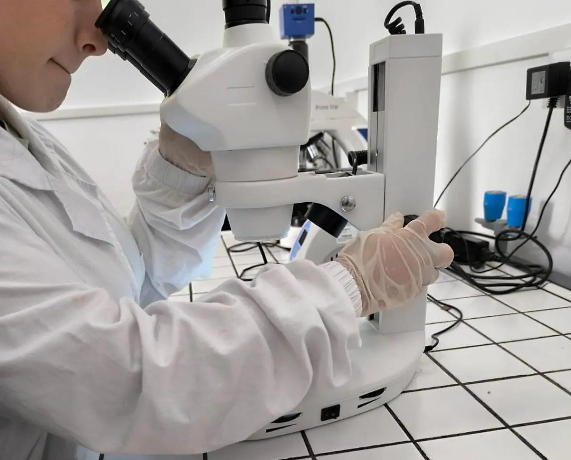 L&rsquo;IIS Calamatta guarda al futuro: al via la sperimentazione quadriennale