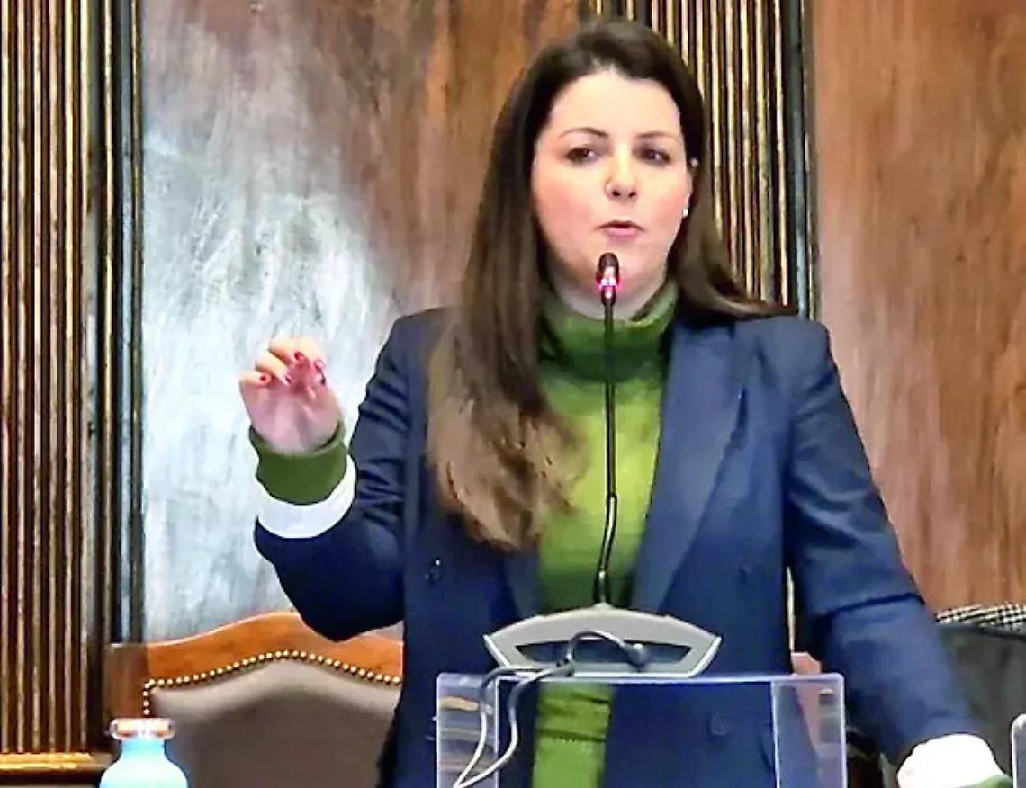 Il Tar sospende il dimensionamento dell&rsquo;istituto Carmine