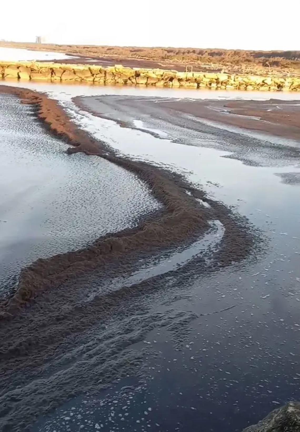 &laquo;La foce del Fiora &egrave; ostruita da una vera isola sabbiosa&raquo;