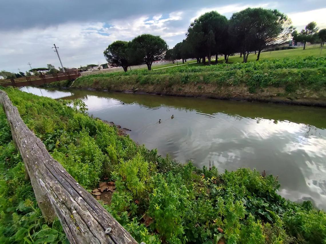Un&rsquo;oasi naturale al centro della citt&agrave;
