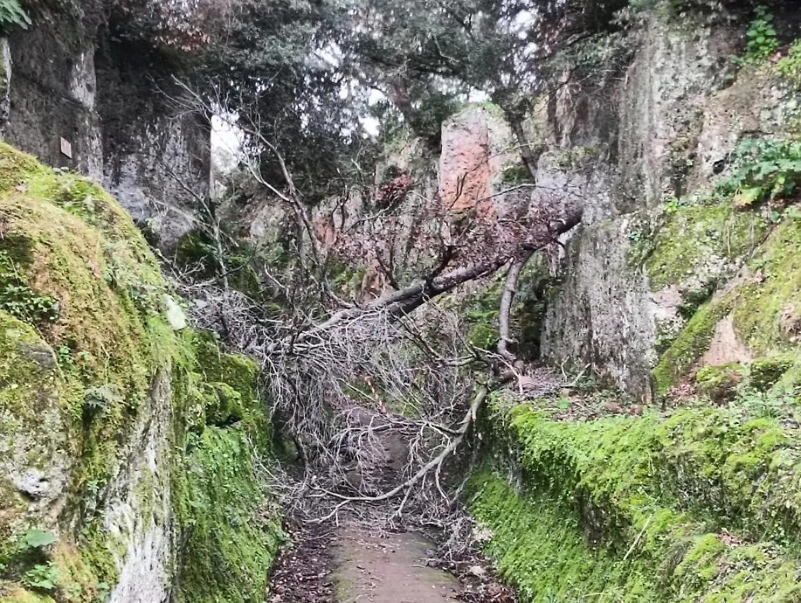 Cade albero, bloccata Via degli Inferi