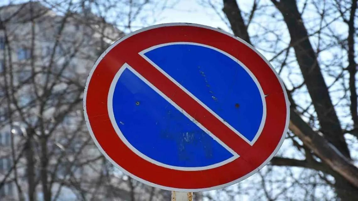 Prove di stabilit&agrave; degli alberi in via Vicenza e in via Volta